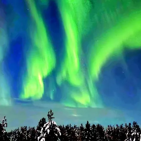 빌라 Northern Lights Lapland *