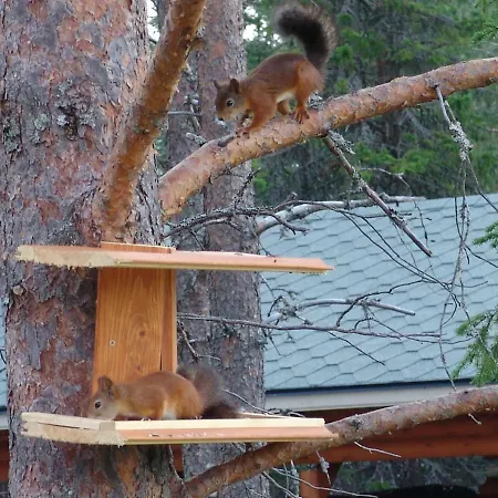 Villa Northern Lights Lapland *