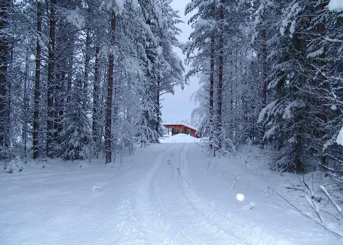 Northern Lights Lapland Villa *