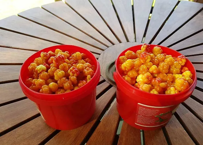 Villa Northern Lights Lapland *