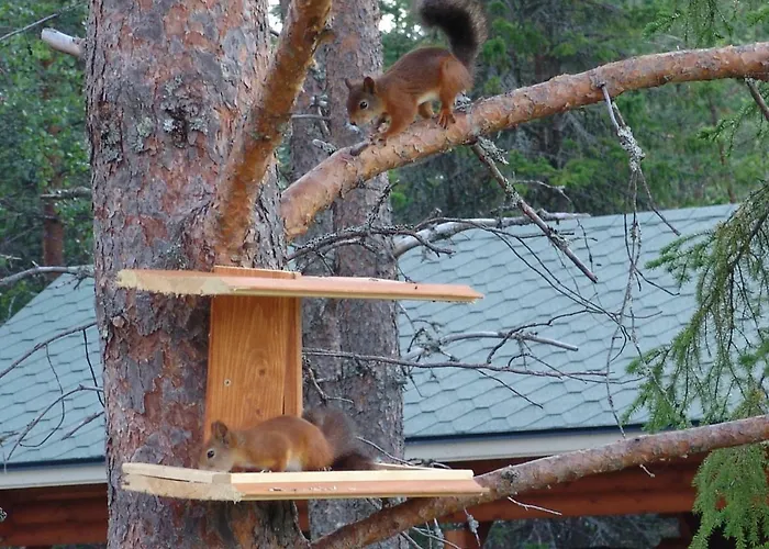 Villa Northern Lights Lapland *