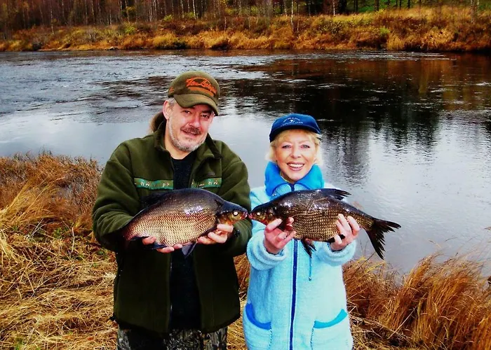 Villa Northern Lights Lapland