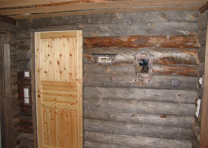 Northern Lights Lapland