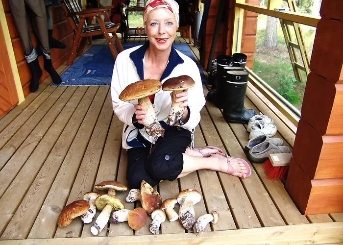 Northern Lights Lapland *