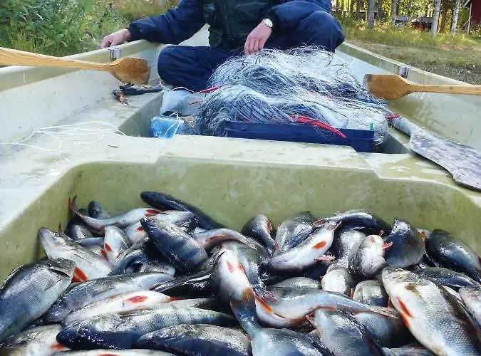 Northern Lights Lapland Willa *