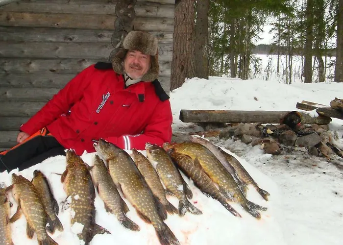 Northern Lights Lapland Villa Hosio