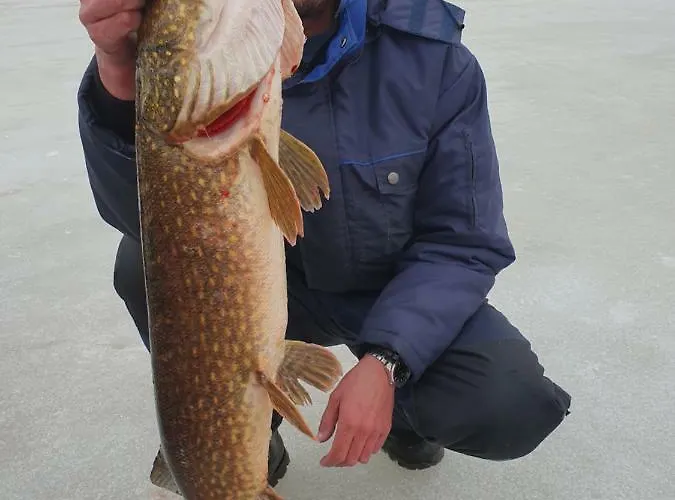 Northern Lights Lapland Willa Hosio